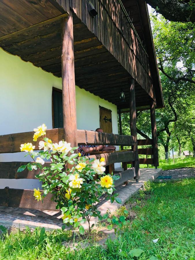 Еко Дім З Соломи Villa Solociîn Exterior foto