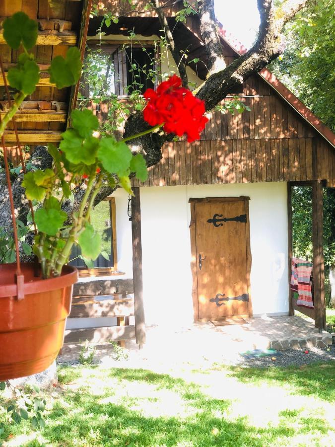 Еко Дім З Соломи Villa Solociîn Exterior foto
