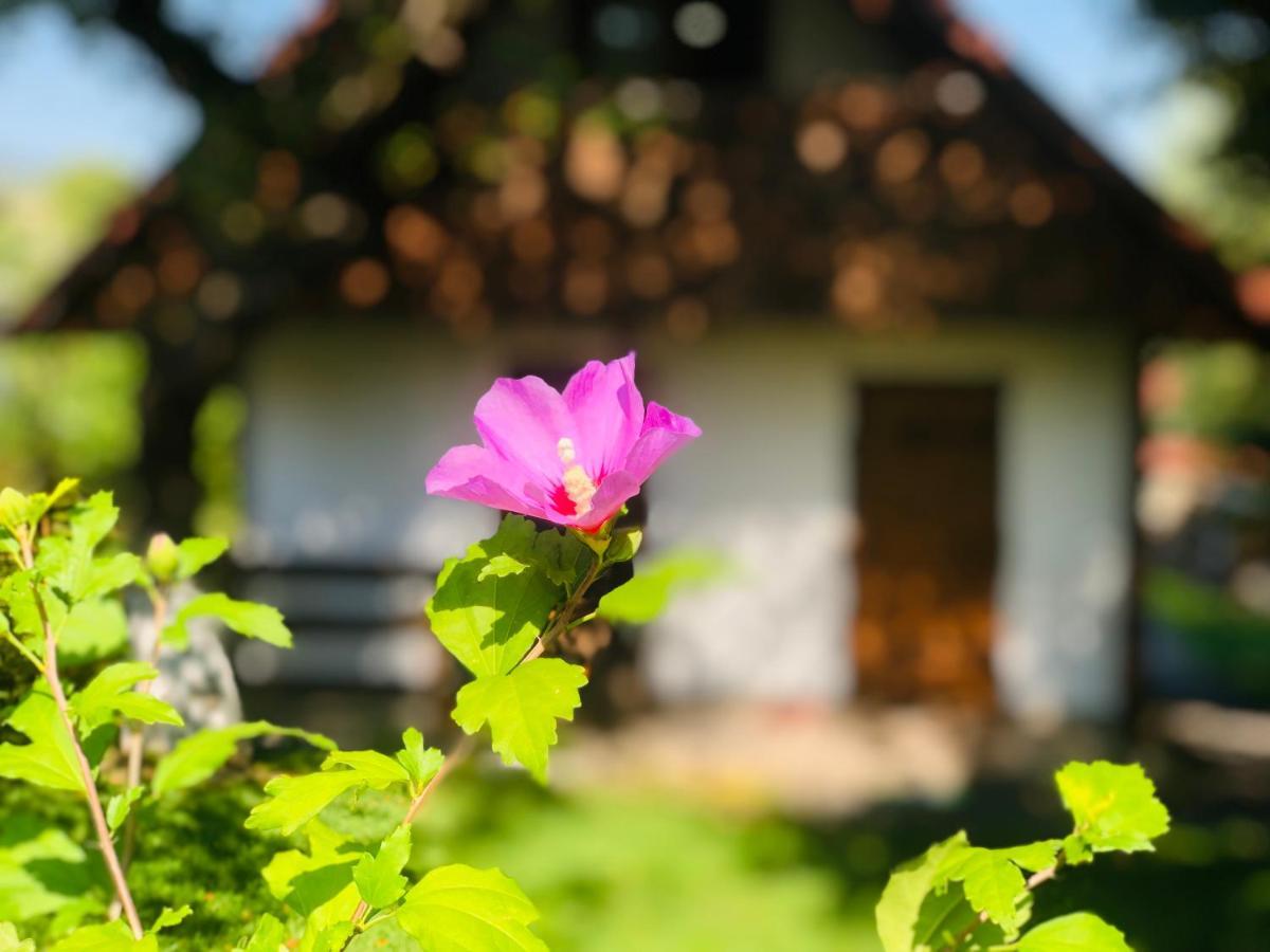 Еко Дім З Соломи Villa Solociîn Exterior foto
