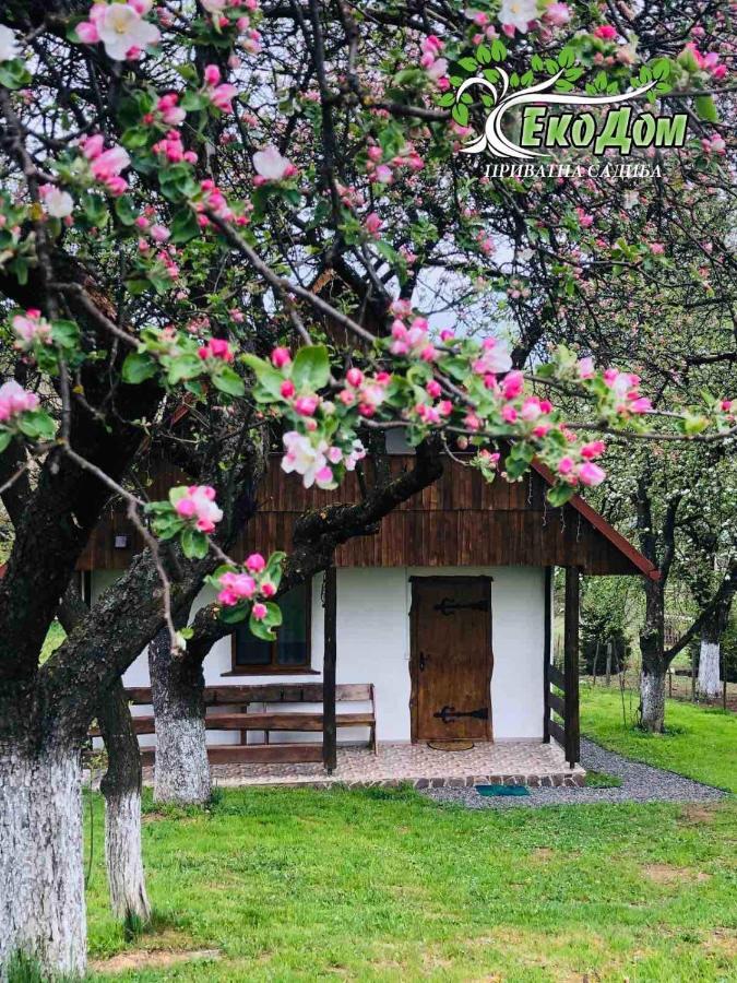 Еко Дім З Соломи Villa Solociîn Exterior foto
