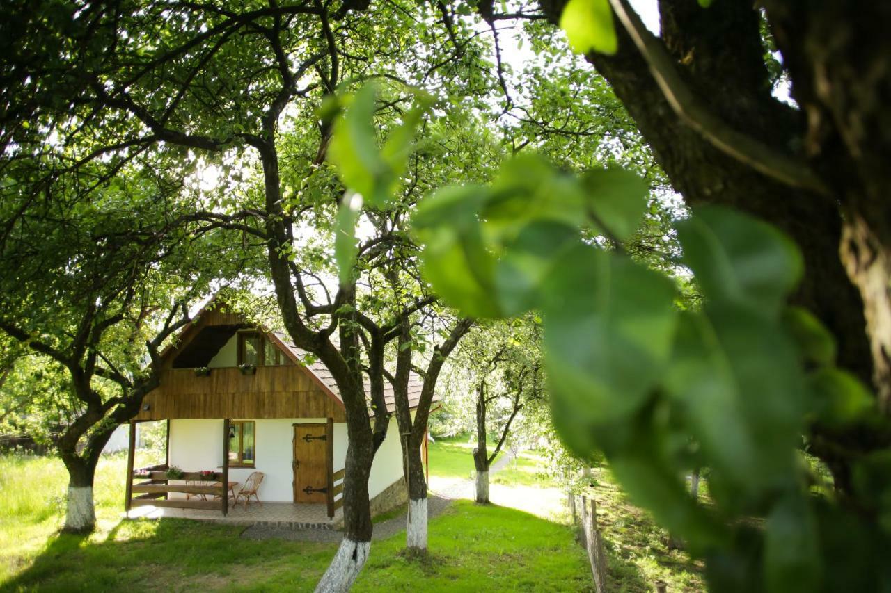 Еко Дім З Соломи Villa Solociîn Exterior foto