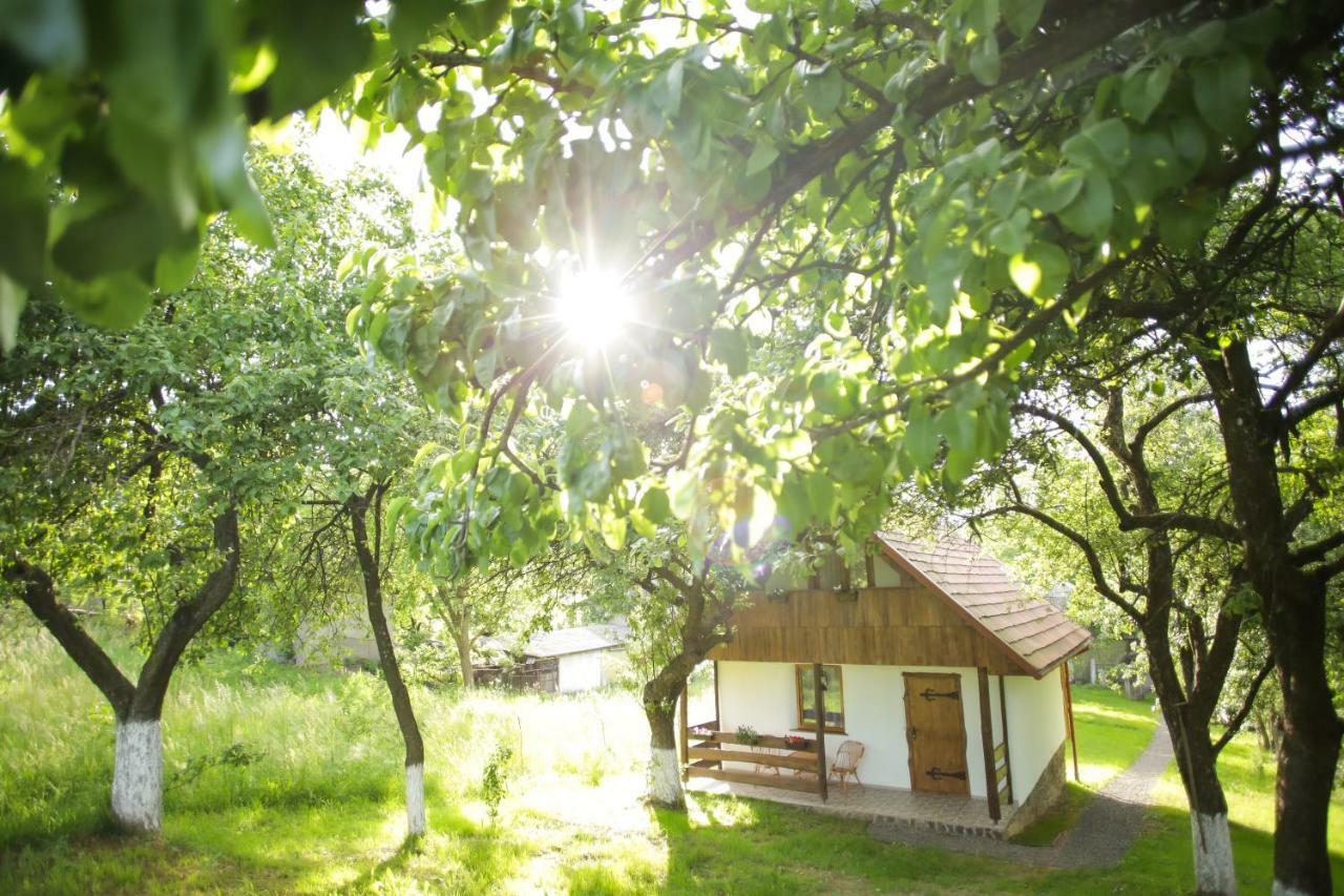 Еко Дім З Соломи Villa Solociîn Exterior foto
