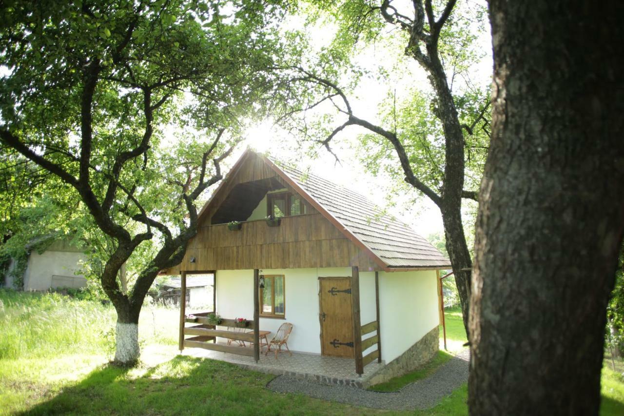 Еко Дім З Соломи Villa Solociîn Exterior foto